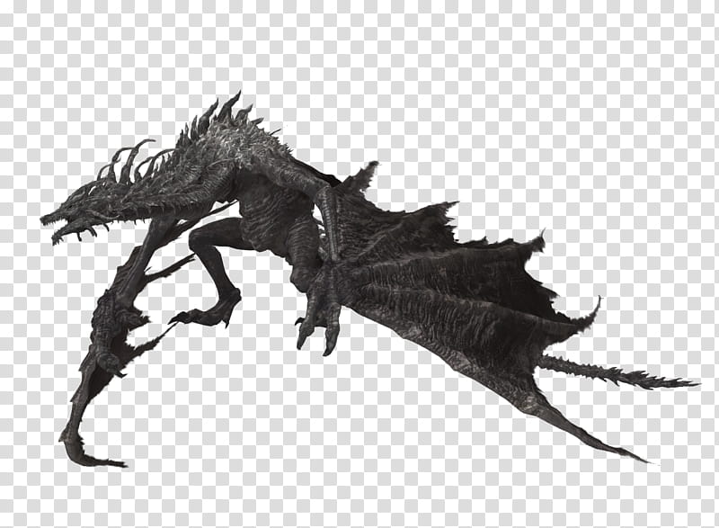 Lotric Wyverns, skeleton dragon transparent background PNG clipart