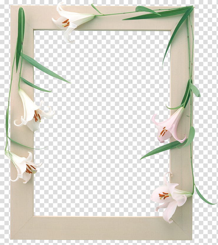 Graphic Design Frame, Frames, Flower, Americanflat Album Frame, Drawing, Green, Mirror, Floral Design transparent background PNG clipart