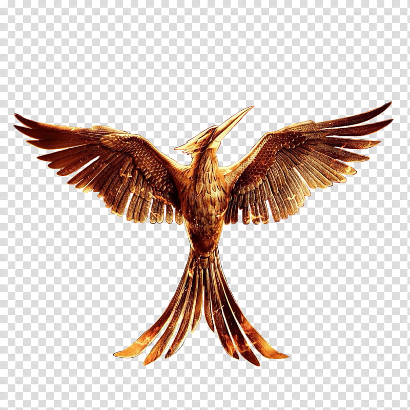 The Hunger games Mockingjay part  No Ring, brown bird illustration transparent background PNG clipart