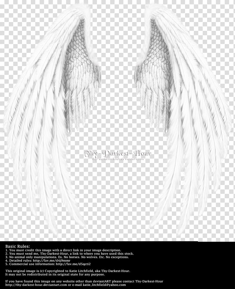 Winged Fantasy V  White, white wings with text overlay transparent background PNG clipart