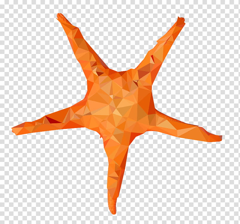 Stars, Starfish, Brittle Stars, Alpha Compositing, Orange, Games transparent background PNG clipart