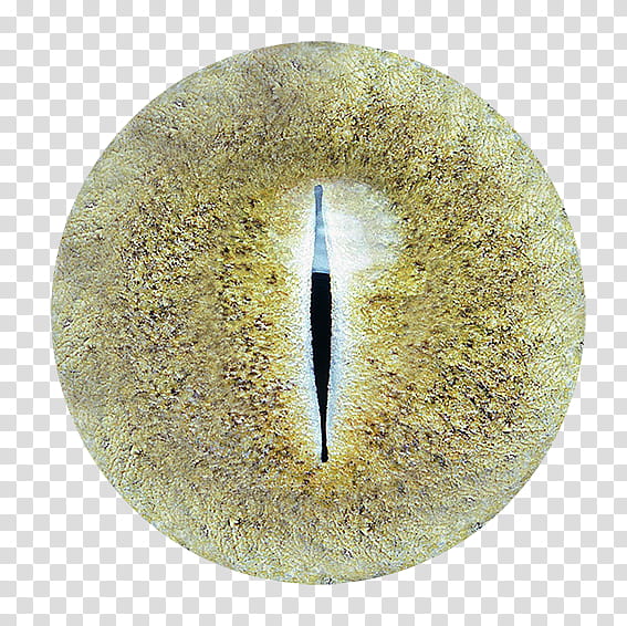 Eye Lenses, green eye transparent background PNG clipart