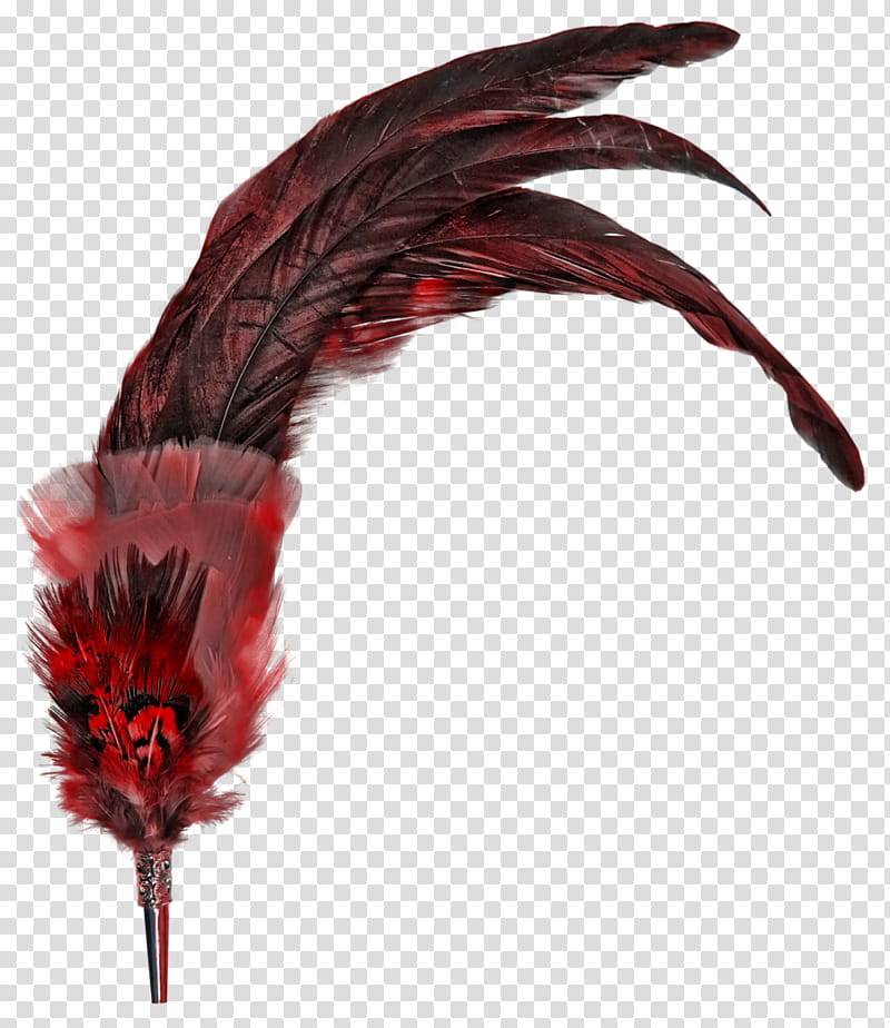 Red objects  , black and red feather art transparent background PNG clipart