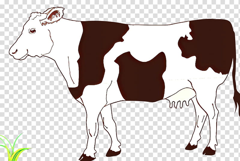 Drawing Of Family, Ayrshire Cattle, Beef Cattle, Calf, Dairy, Farm, Barn, Dairy Cow transparent background PNG clipart