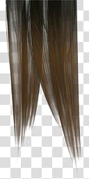 DOALR Mugen Tenshin Shinobi for XNALara XPS, brown hair transparent background PNG clipart
