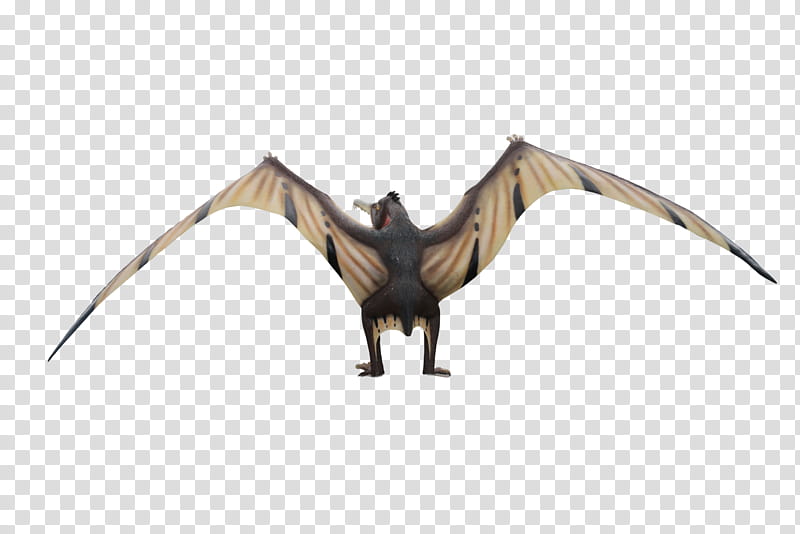 Dinosaurs , bat illustration transparent background PNG clipart