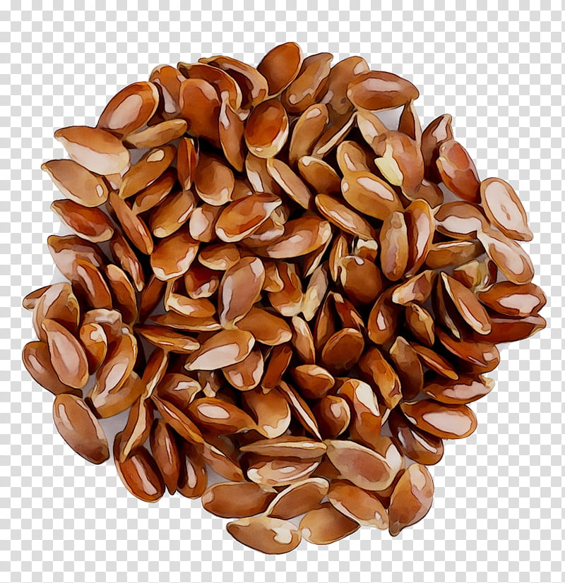 Commodity Food, Seed, Plant, Ingredient, Flax, Nuts Seeds, Superfood transparent background PNG clipart