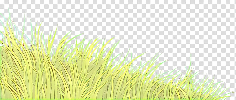 grass green grass family plant grassland, Cartoon, Meadow, Wheatgrass, Lawn, Perennial Plant transparent background PNG clipart