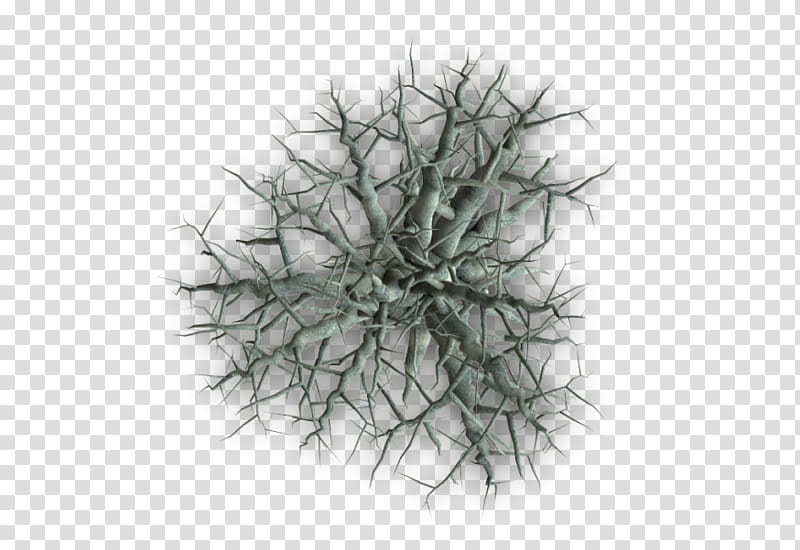 RPG Map Elements , gray branch with thorns illustration transparent background PNG clipart