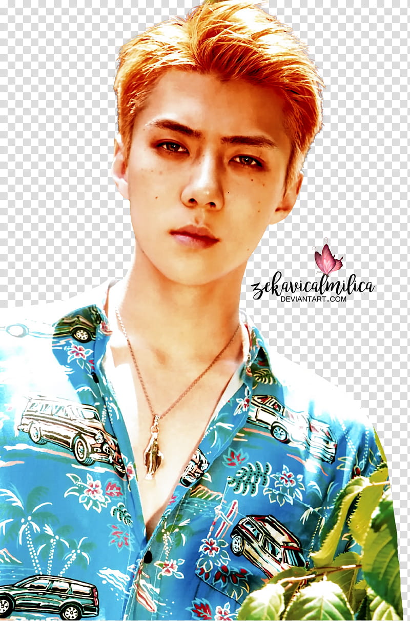 EXO Sehun The War, EXO Oh Sehun transparent background PNG clipart