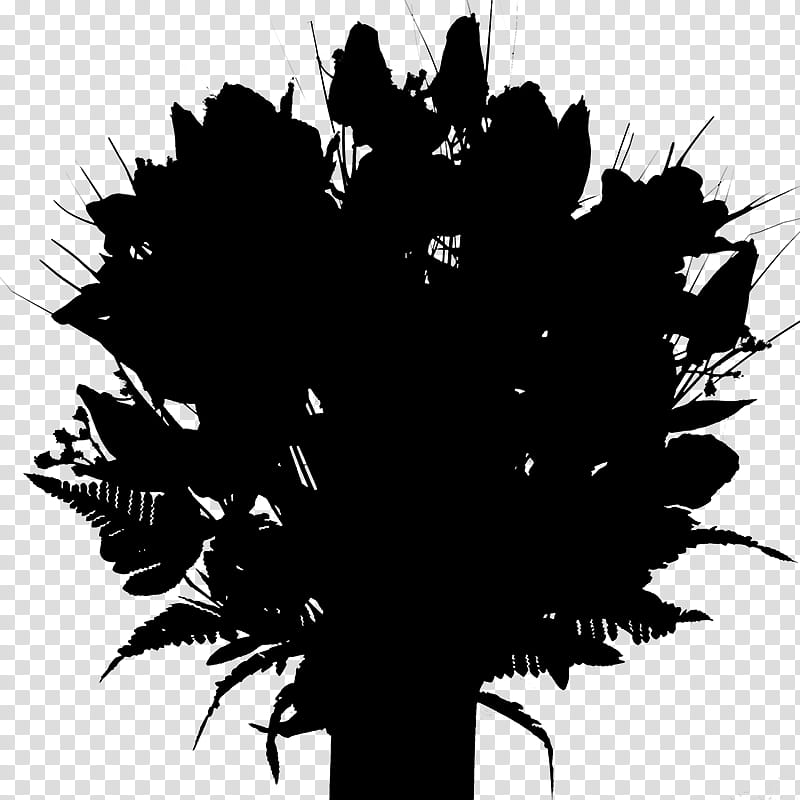 Palm Tree, Youth, Youth Work, Association, Youth Politics, Solothurn, Switzerland, Black transparent background PNG clipart