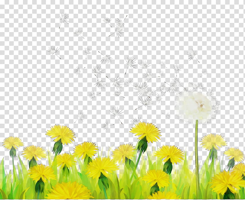 Drawing Of Family, Watercolor, Paint, Wet Ink, Dandelion, Flower, Daisy Family, Meadow transparent background PNG clipart