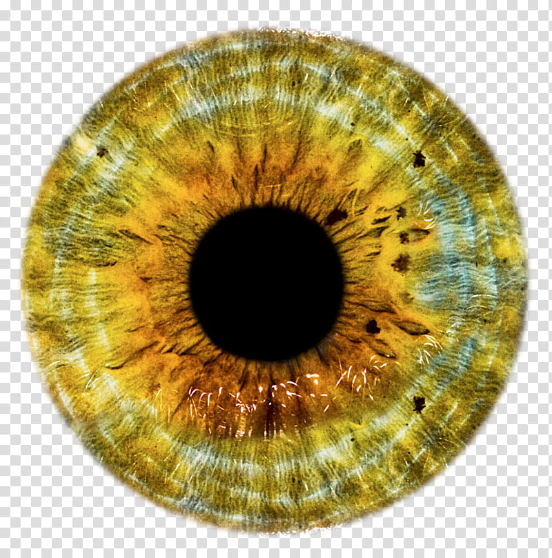 Eye Lenses, brown contact lens transparent background PNG clipart