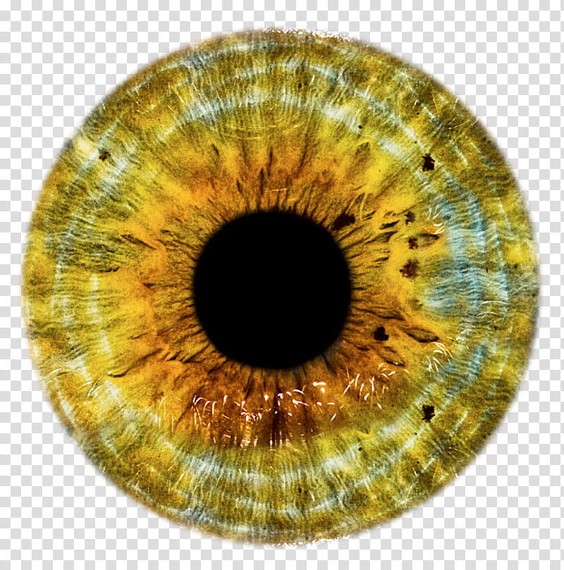 Eye Lens Png Hd , Png Download - Red Eye Lens Png, Transparent Png