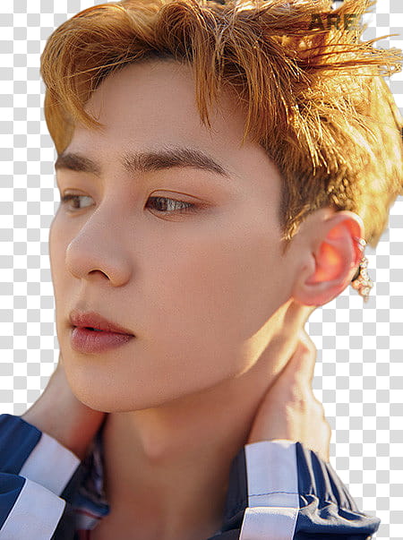 Render  HQ NCT Kun Jungwoo Lucas transparent background PNG clipart