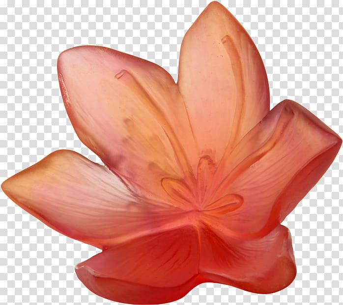Orange, Petal, Pink, Flower, Plant, Peach, Finger, Water Lily transparent background PNG clipart