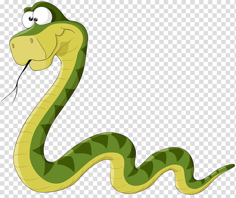 Snake, Snakes, Drawing, Reptile, Serpent, Scaled Reptile, Mamba, Viper transparent background PNG clipart