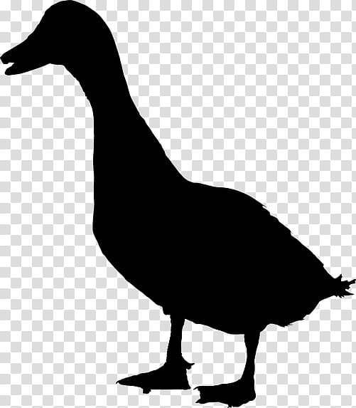 Bird Silhouette, Duck, Goose, Water, Fowl, Beak, Canada Goose, Water ...