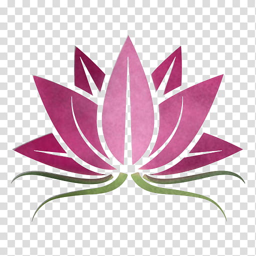 Lotus, Pink, Leaf, Lotus Family, Plant, Petal, Logo, Sacred Lotus transparent background PNG clipart