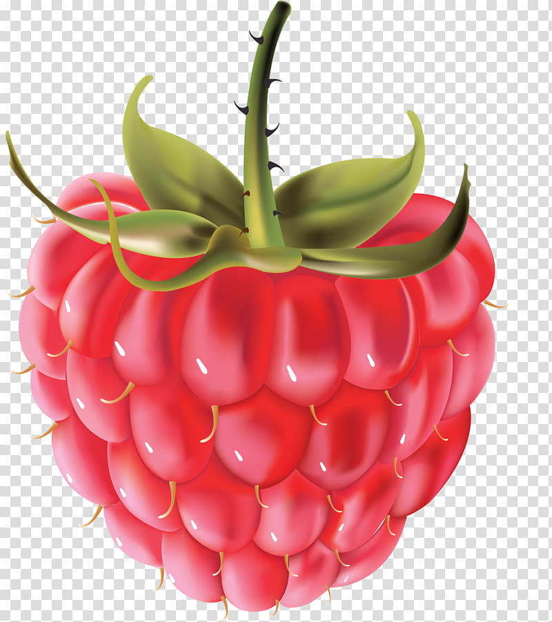 Drawing Of Family, Raspberry, Berries, Milkshake, Fruit, Red Raspberry, Boysenberry, Natural Foods transparent background PNG clipart