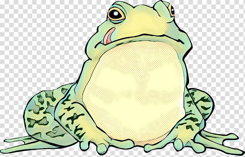 Turtle, Toad, True Frog, Tree Frog, Winsko Turtle M, Beak, Cartoon, Animal transparent background PNG clipart