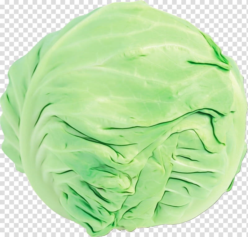 Green Leaf, Cabbage, Greens, Wild Cabbage, Leaf Vegetable, Brussels Sprout, Lettuce, Iceburg Lettuce transparent background PNG clipart