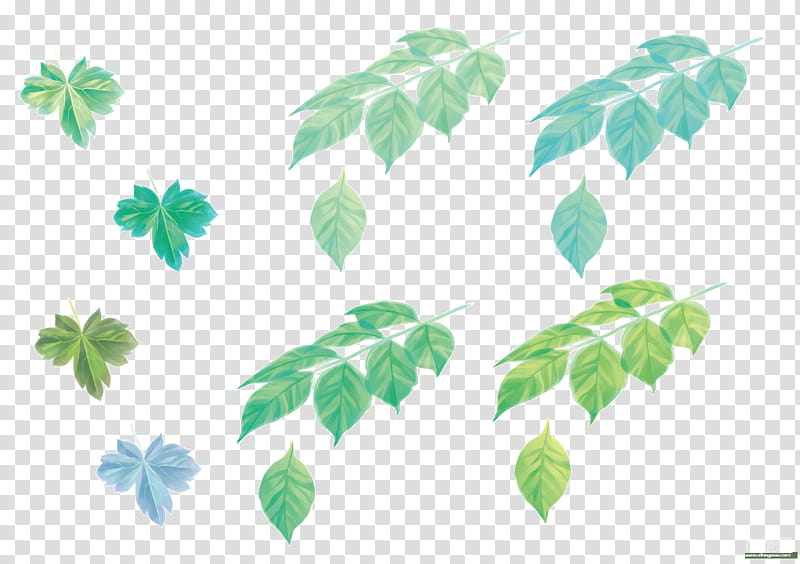 Green Leaf Watercolor, Creative Work, Gold Leaf, Watercolor Painting, Plant Stem, Sky, Chair, Line transparent background PNG clipart