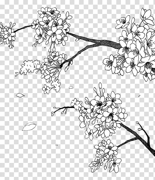 Manga Flowers ColdLove, cherry blossom art transparent background PNG clipart