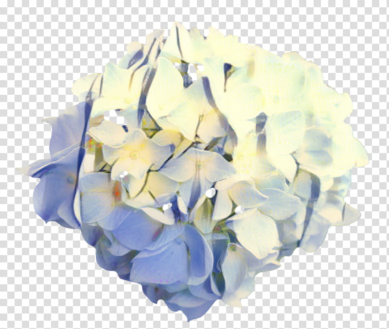 Bouquet Of Flowers Drawing, Rose, Petal, Cut Flowers, Hydrangea, Garden Roses, Blue, Wreath transparent background PNG clipart