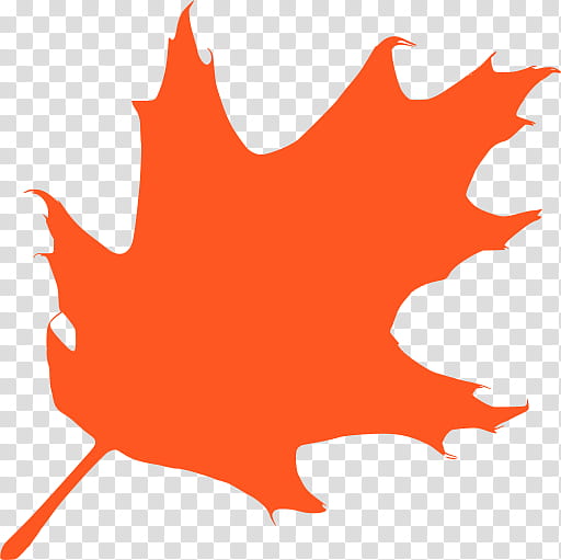 Oak Tree Silhouette, Leaf, White Oak, Branch, Drawing, Autumn Leaf Color, Black, Orange transparent background PNG clipart