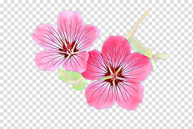 Cherry blossom, Flower, Petal, Pink, Plant, Geranium, Geraniaceae, Geraniales transparent background PNG clipart