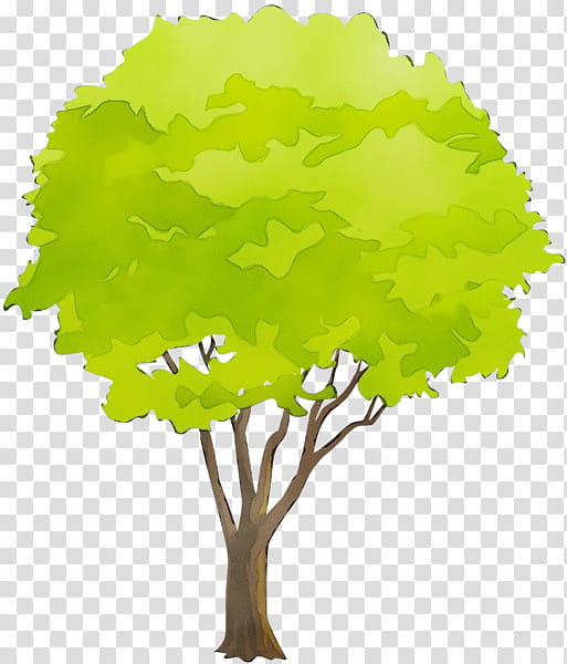 Arbor day, Watercolor, Paint, Wet Ink, Tree, Green, Leaf, Plant transparent background PNG clipart