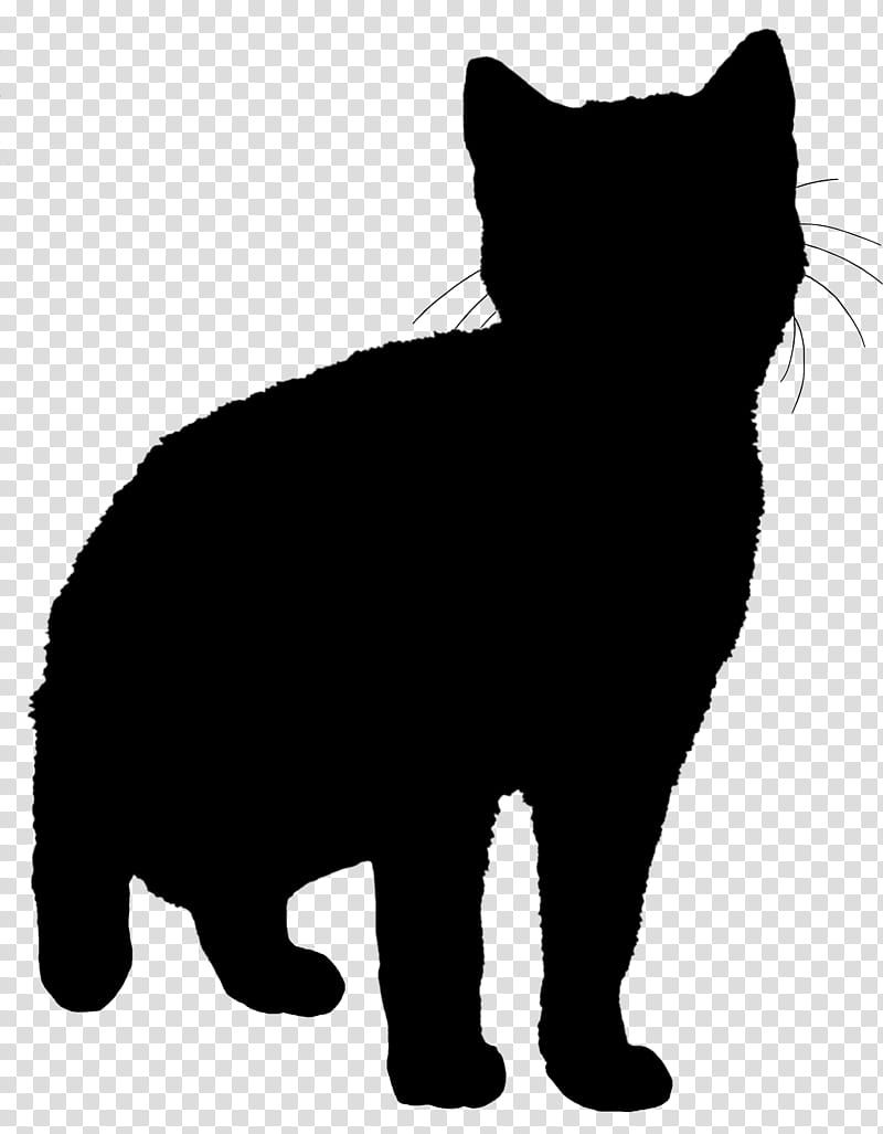 Dog And Cat, Norfolk Terrier, Whiskers, Tshirt, Manx Cat, Wildcat, Clothing, Romper Suit transparent background PNG clipart