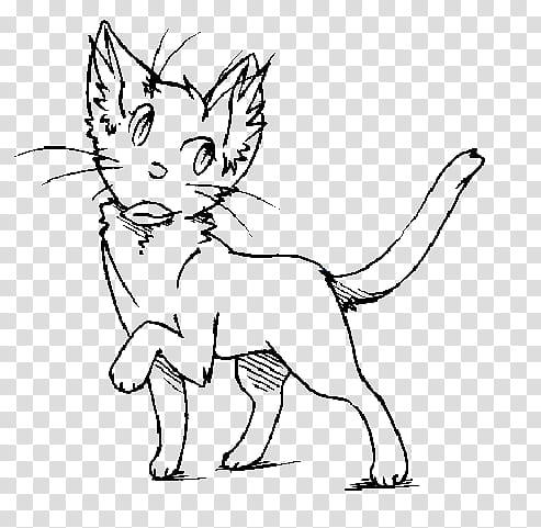 .:Free  Use:. Cat base #, white and black cat drawing transparent background PNG clipart