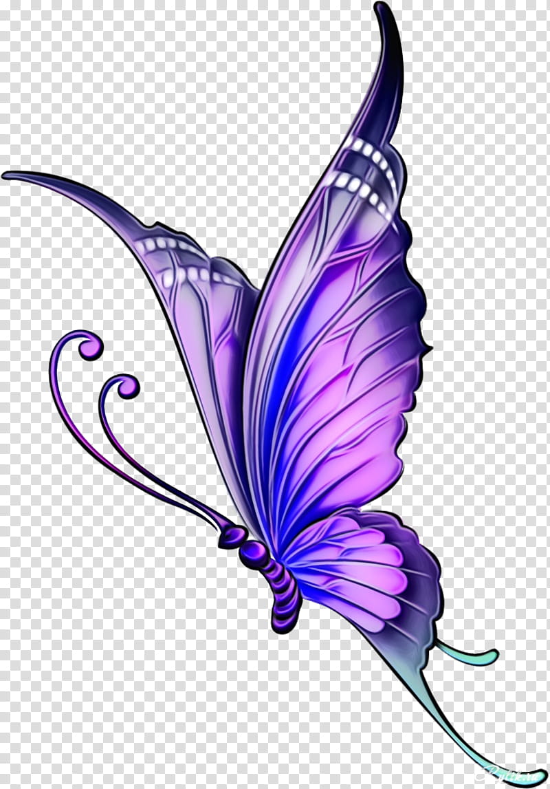 violet butterfly purple moths and butterflies pollinator, Watercolor, Paint, Wet Ink, Plant, Wing, Insect transparent background PNG clipart