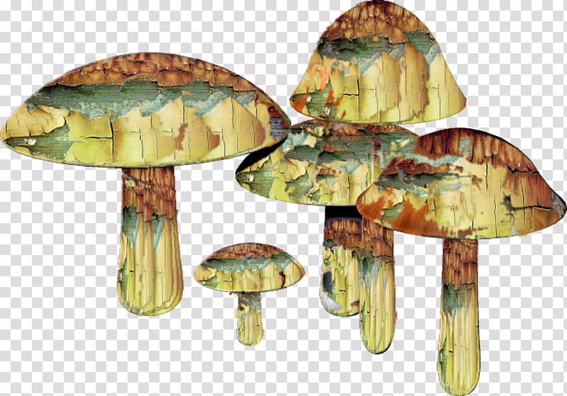 Magic Mushrooms, multicolored mushroom art transparent background PNG clipart