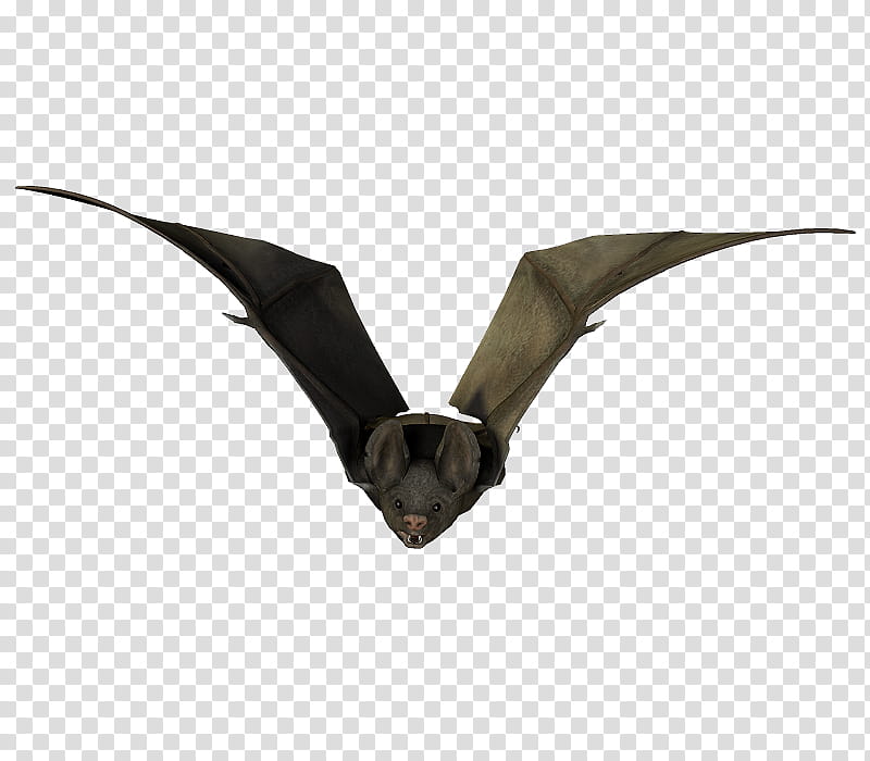 E S Bats , flying black bat transparent background PNG clipart