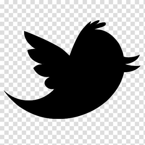 Pajarito de Twitter, Tweeter logo transparent background PNG clipart