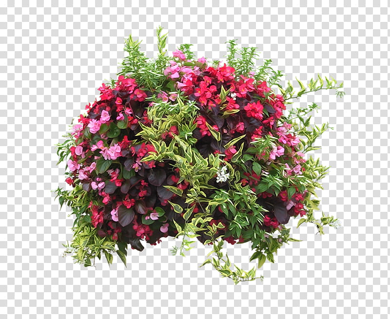 Flowers, Flower Garden, Wreath, French Formal Garden, Garden Roses, Flowerpot, Garden Tool, Houseplant transparent background PNG clipart