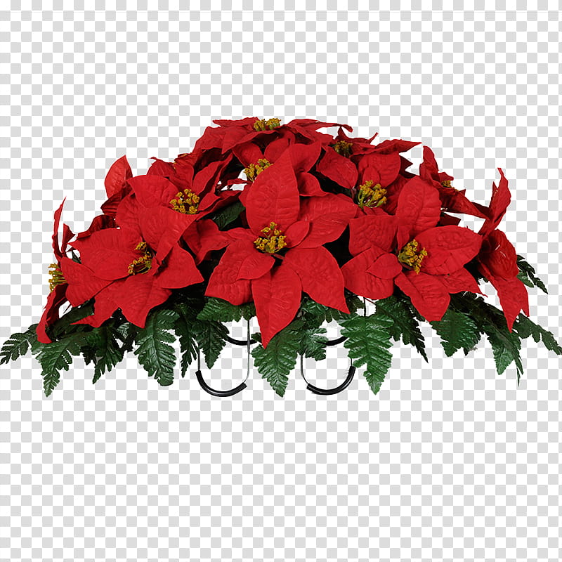 Poinsettia, red poinsettia flowers with fern decor transparent background PNG clipart