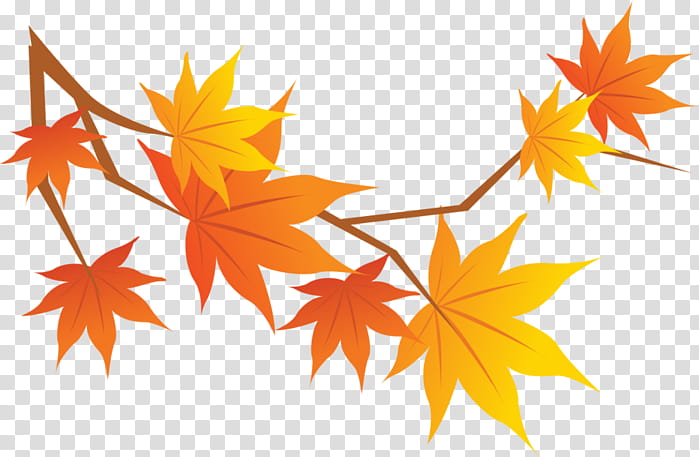 Autumn Tree, Color, Season, Text, Alamy, Leaf, Maple Leaf, Orange transparent background PNG clipart