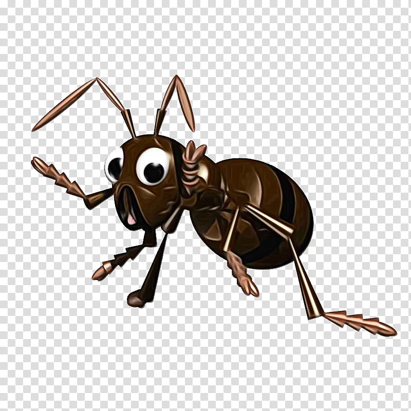 Fire, Ant, Bee, Black Garden Ant, Insect, Leafcutter Ant, Queen Ant, Fire Ant transparent background PNG clipart