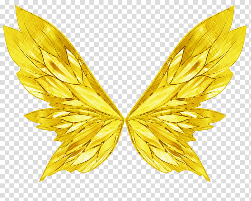 Winx Bloom Dreamix Golden Wings transparent background PNG clipart