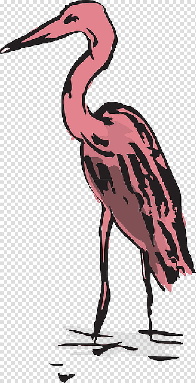 Pink Flamingo, Crane, Video, Water, Library, Wing, Greater Flamingo, Bird transparent background PNG clipart