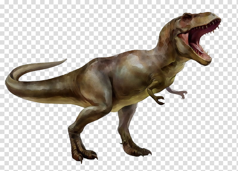 Watercolor Animal, Paint, Wet Ink, Tyrannosaurus Rex, Dinosaur, Teratophoneus, Giganotosaurus, Spinosaurus transparent background PNG clipart