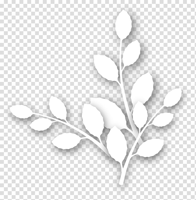 seamless, white tree branch transparent background PNG clipart