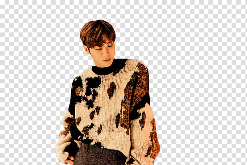 SHINee Taemin, ++Taemin transparent background PNG clipart