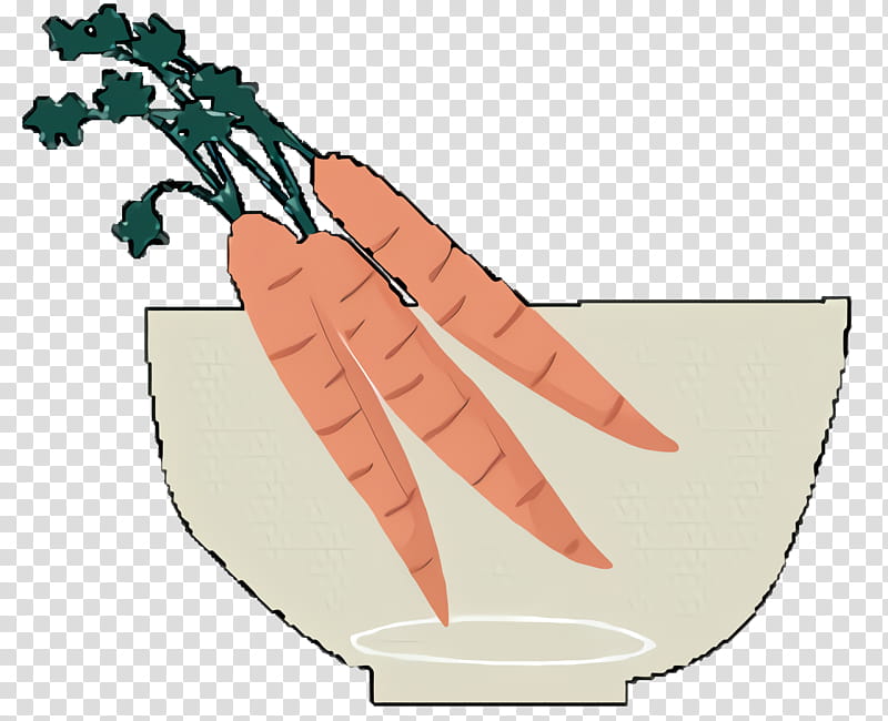 Baby, Daikon, Greens, Carrot, Takuan, Carrot Cake, Vegetable, Pickled Radish transparent background PNG clipart