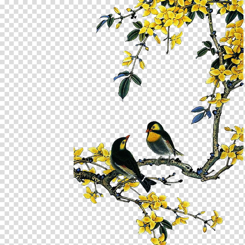 Magnolia Tree, Birdandflower Painting, Chinese Painting, Gongbi, Ink Wash Painting, Mural, Drawing, Yellow transparent background PNG clipart