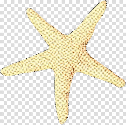 starfish marine invertebrates star, Pop Art, Retro, Vintage transparent background PNG clipart